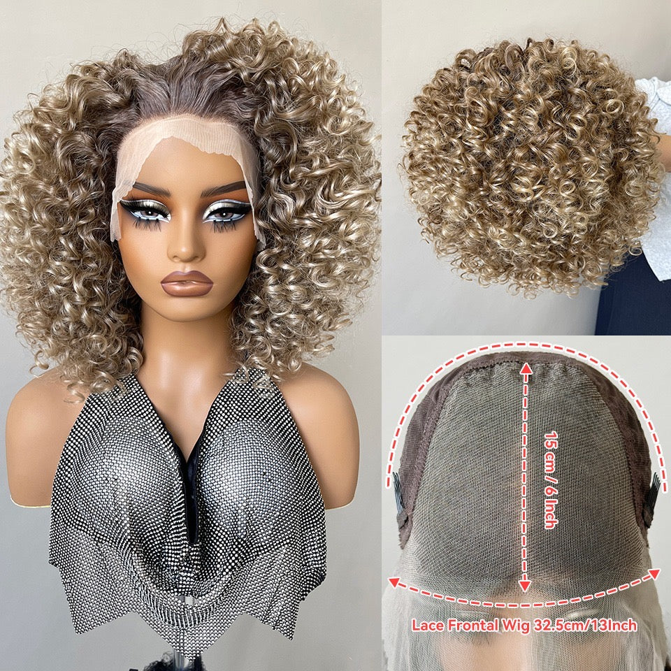 Sample Layla (13 by 6) lace wig